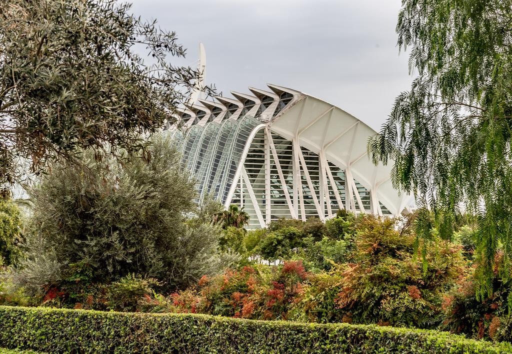 Travel Habitat Torre Francia Lejlighed Valencia Eksteriør billede